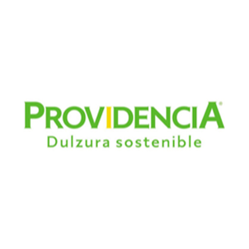 Logo de providencia